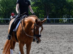 _DSC7635_web